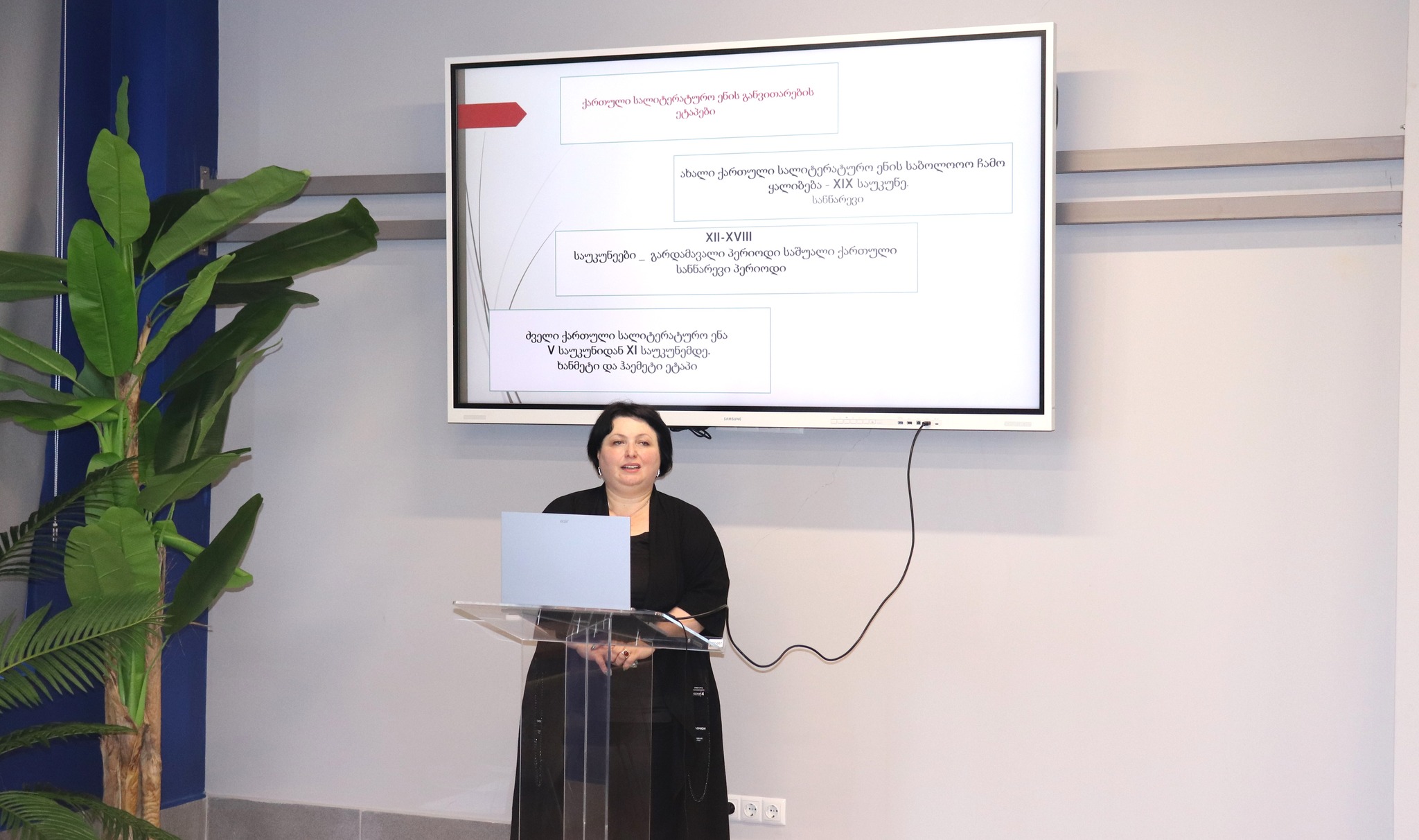 ქართული როგორც საქართველოს სახელმწიფო ენა 3