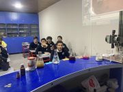 INTEGRIREBULI-GAKVETILI-9