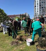 BATUMI-GAMWVANEBIS-DAGEGMAREBA-2