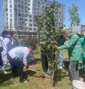 815ec44d-b7a2-435d-ad4a-439b2c924ffb-copy