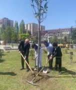 bfa994b6-48a7-4908-81d0-63c71b063469-copy